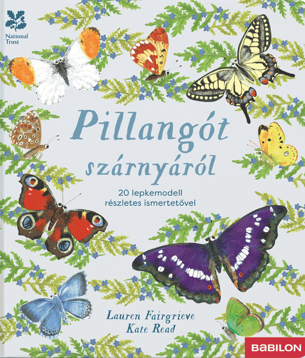 Pillangót szárnyáról – 20 lepkemodell részletes ismertetővel