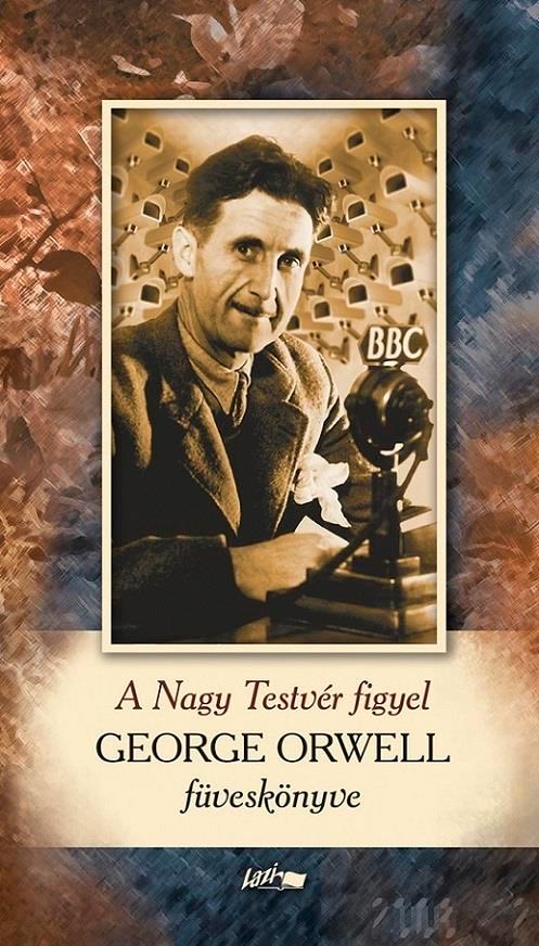 A Nagy Testvér figyel