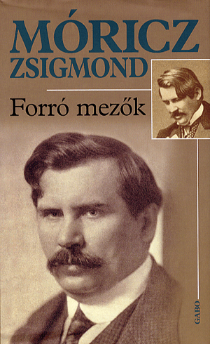 Forró mezők