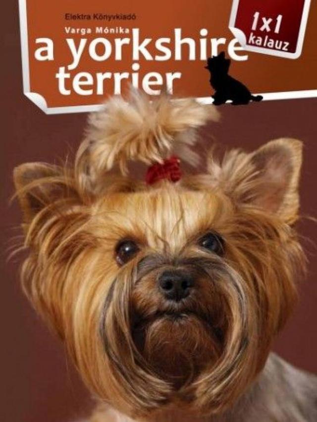 A yorkshire terrier