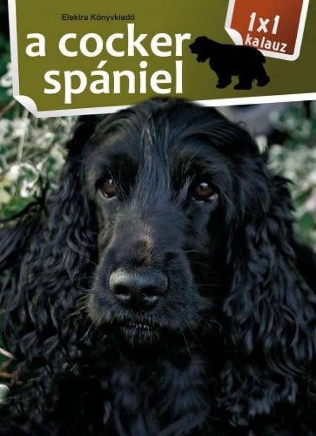 A cocker spániel