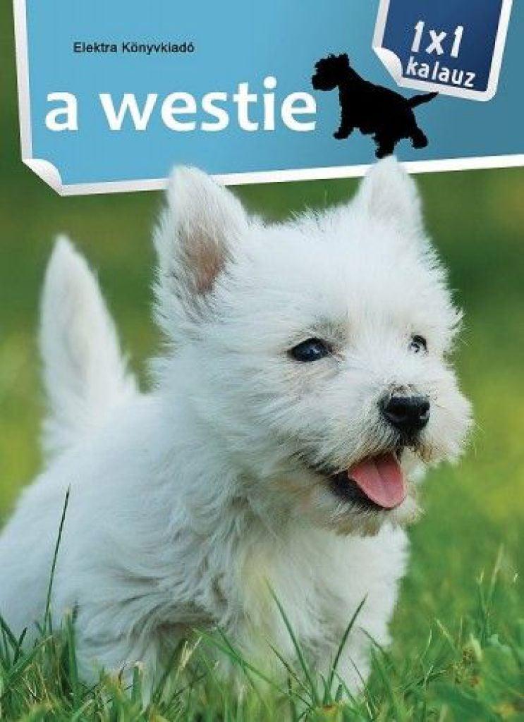 A westie