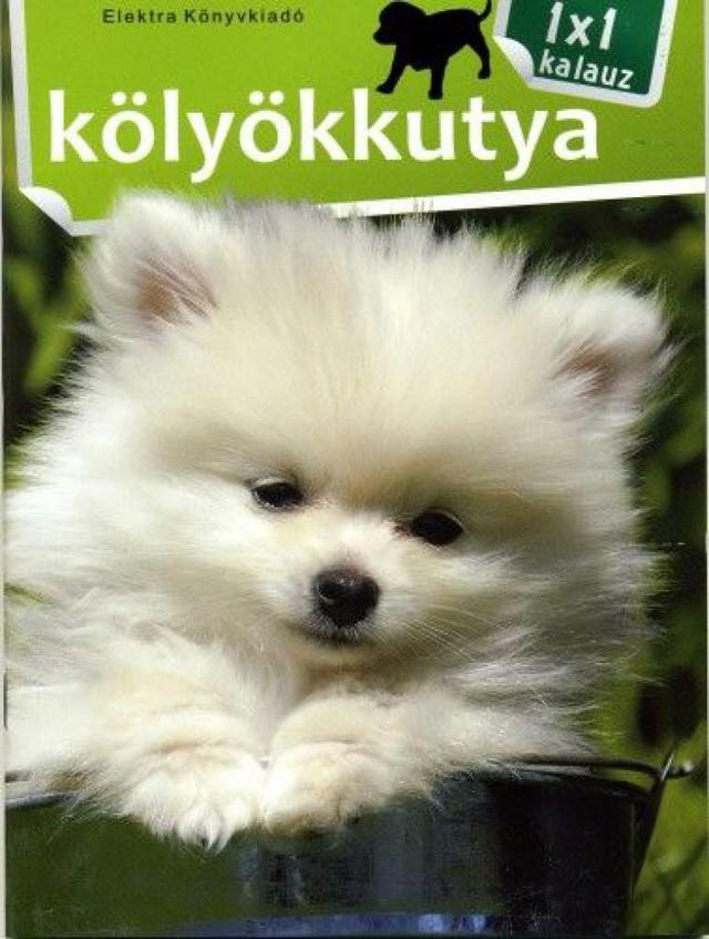 Kölyökkutya