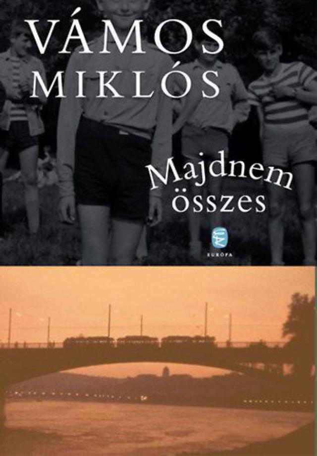 Majdnem összes - Válogatott novellák