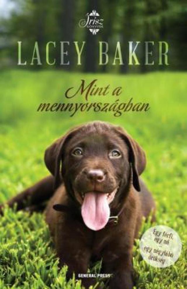 Mint a mennyországban