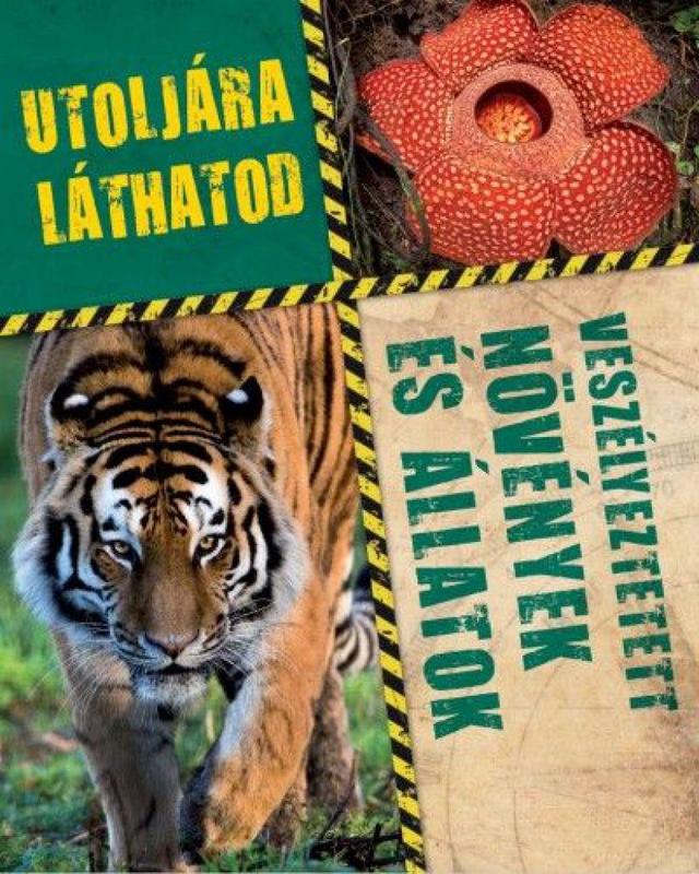 Utoljára láthatod