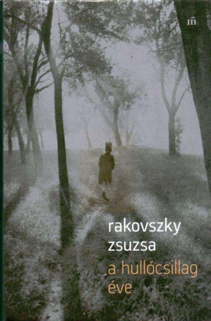 A hullócsillag éve