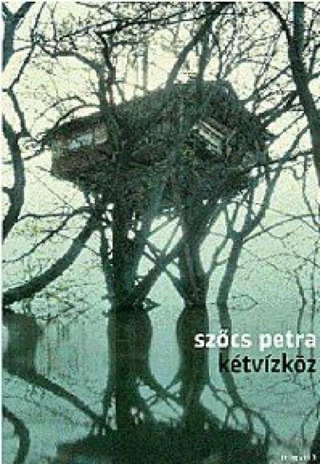 Kétvízköz