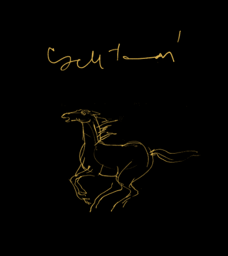 Cseh Tamás - Grafikák