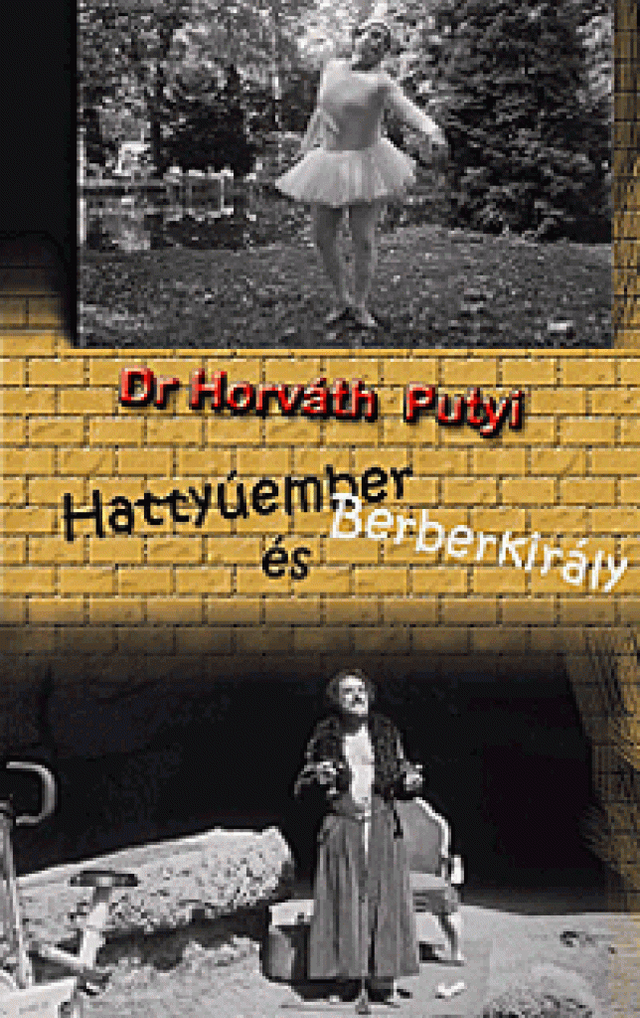 Hattyúember és Berberkirály
