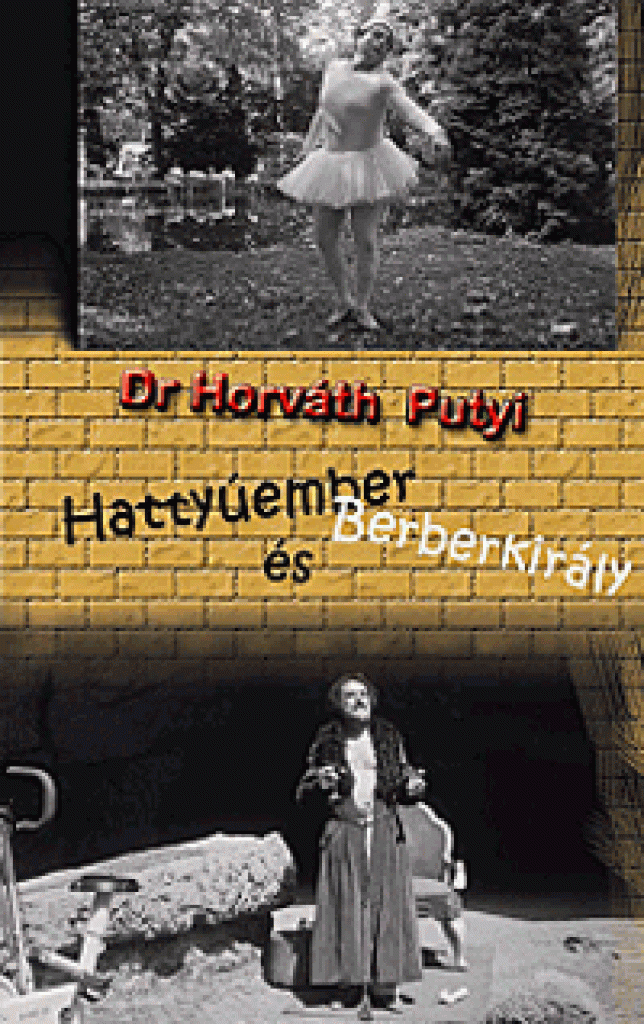 Hattyúember és Berberkirály