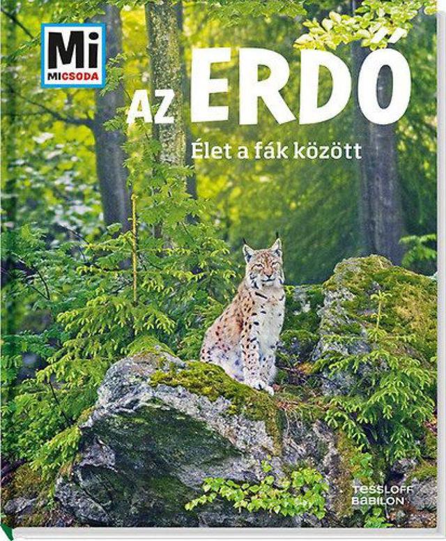 Az erdő: Élet a fák között - Mi Micsoda