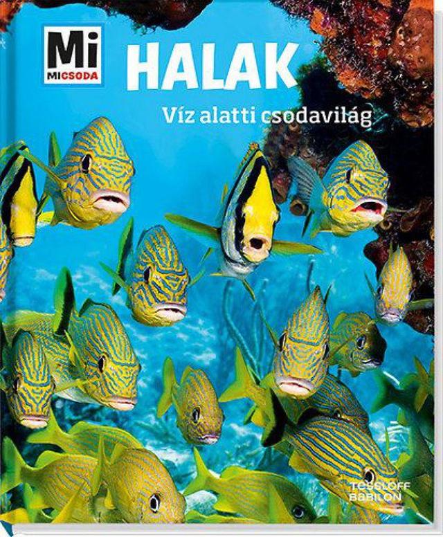 Halak: Víz alatti csodavilág - Mi Micsoda