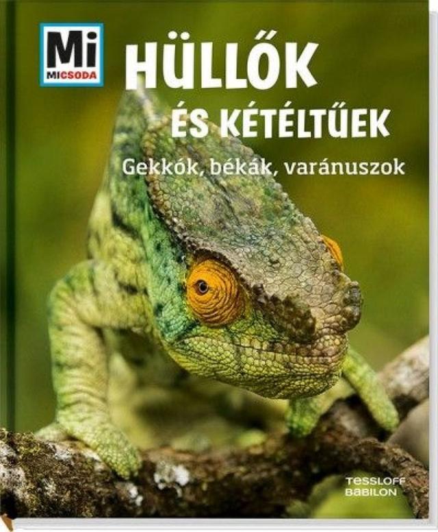 Hüllők és kétéltűek: Gekkók, békák, varánuszok - Mi Micsoda