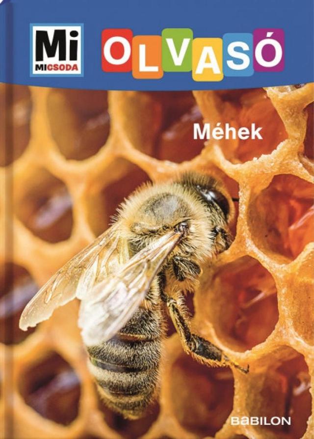 Olvasó Méhek
