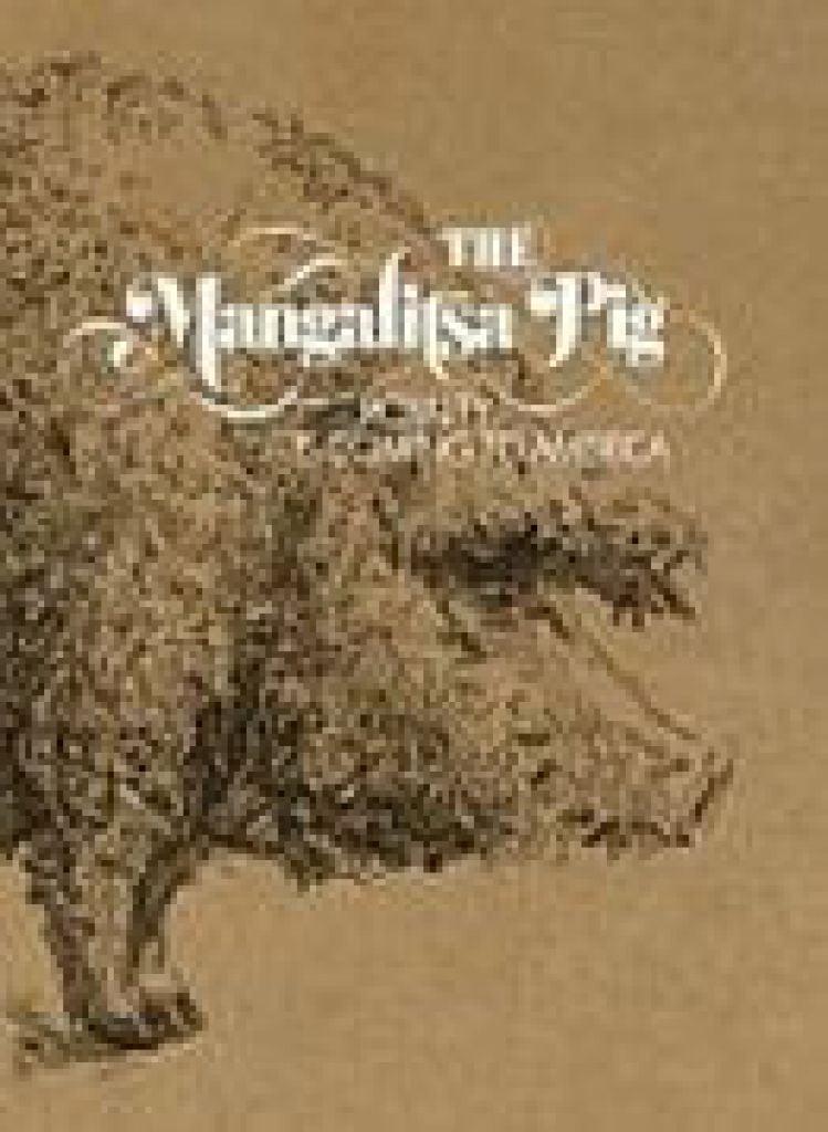 The Mangalitsa Pig