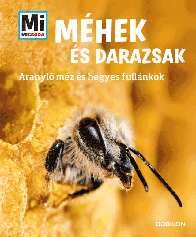Méhek és Darazsak: Aranyló méz és hegyes fullánkok - Mi Micsoda
