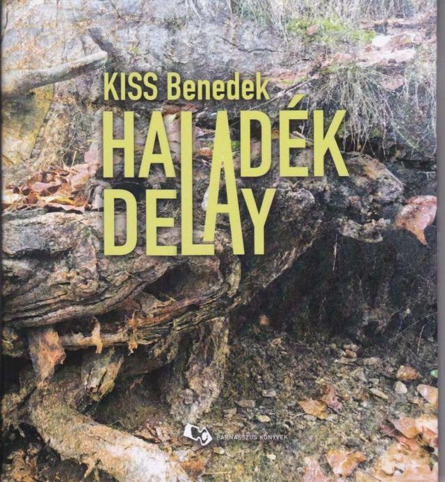 Haladék - Delay
