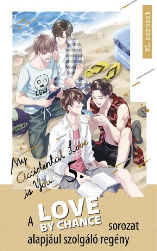 Love by Chance - My Accidental Love is You