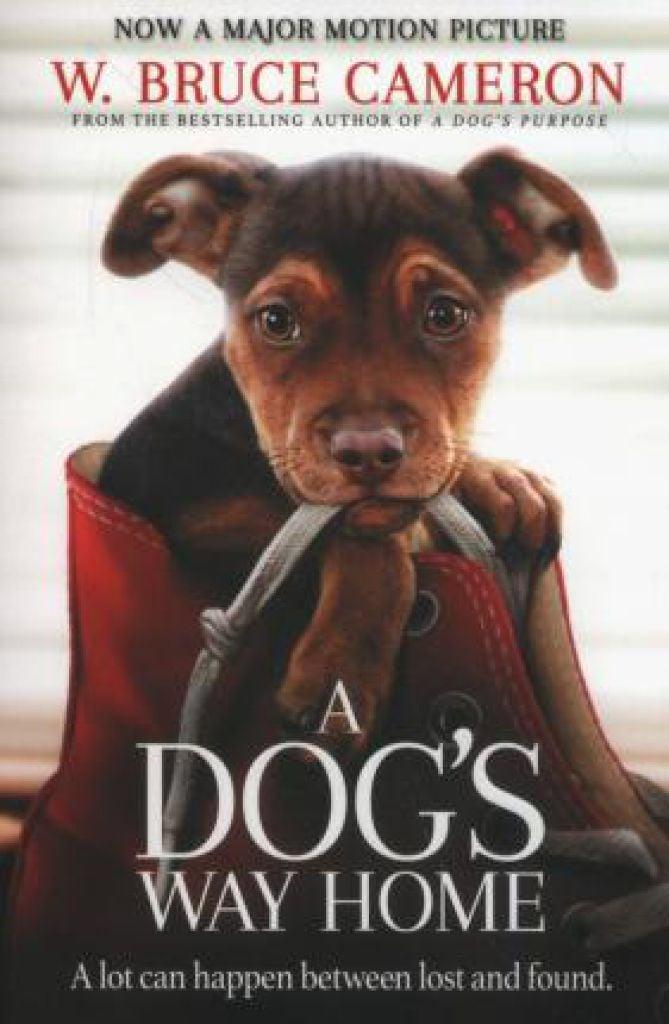 A Dogs way home