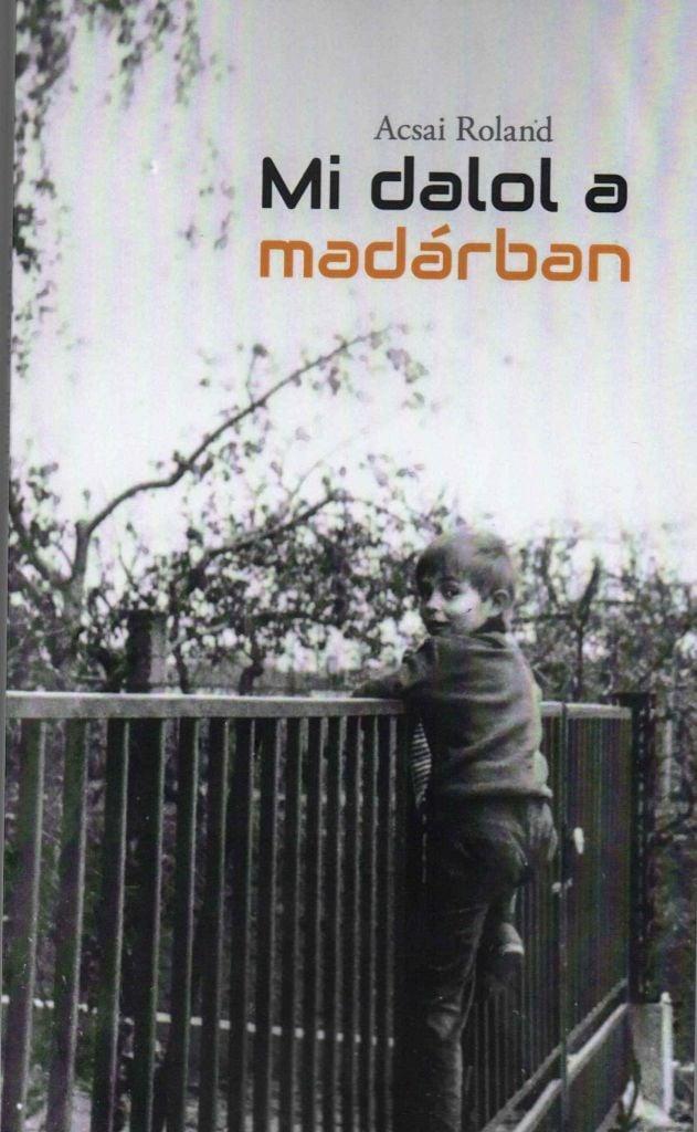 Mi dalol a madárban