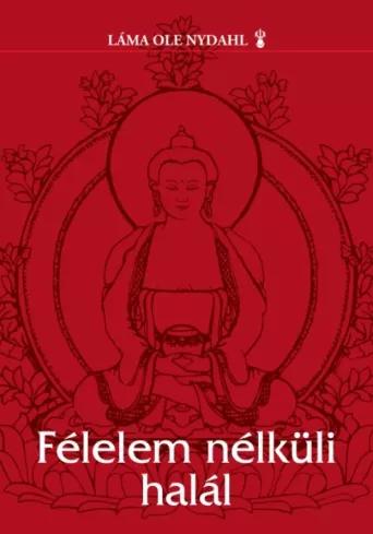 Félelem nélküli halál (e-könyv)