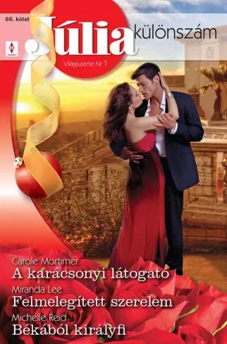 Júlia különszám 66. (e-könyv)