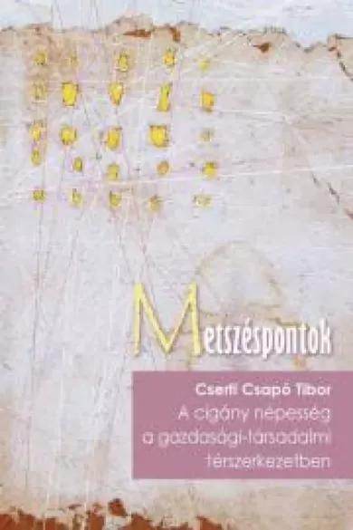 A cigány népesség a társadalmi-gazdasági térszerkezetben (e-könyv)