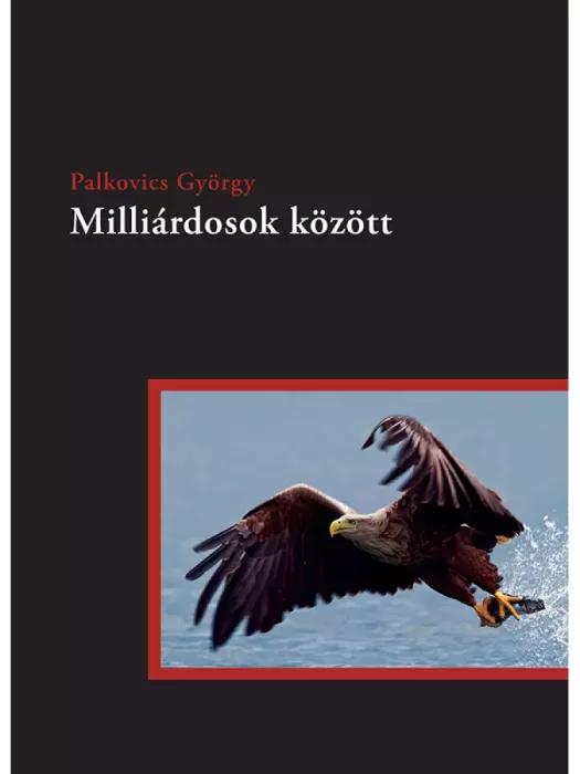 Milliárdosok között (e-könyv)