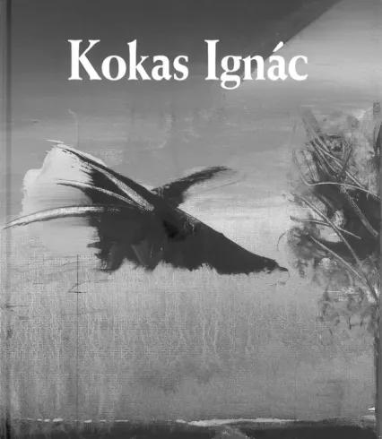 Kokas Ignác (e-könyv)