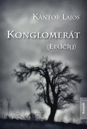 Konglomerát (Erdély) (e-könyv)
