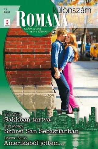 Romana különszám 71. (e-könyv)