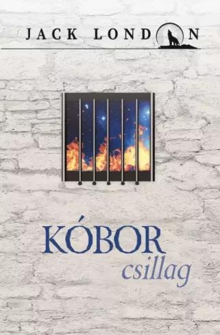 Kóbor csillag (e-könyv)