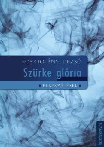 Szürke glória (e-könyv)