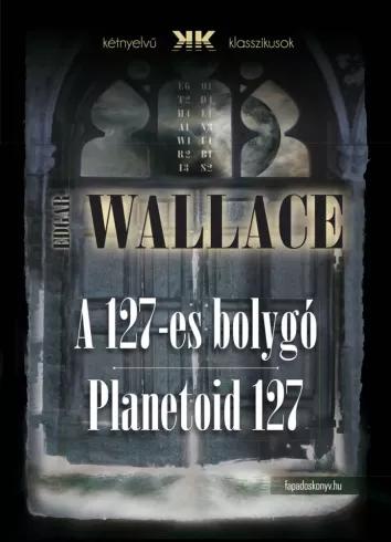 A 127-es bolygó - Planetoid 127 (e-könyv)