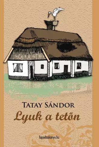 Lyuk a tetőn (e-könyv)