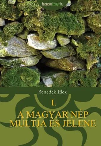 A magyar nép múltja és jelene 1. (e-könyv)