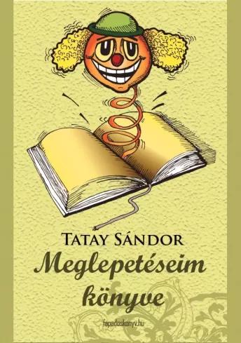 Meglepetéseim könyve (e-könyv)
