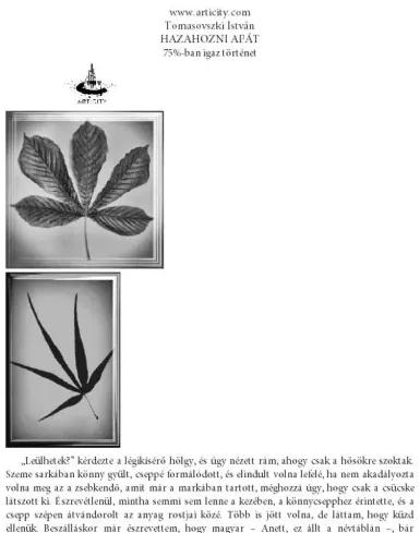 Hazahozni apát (e-könyv)