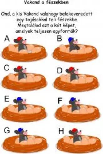 Gondolkodó - 50 játékos rejtvény az egész családnak (e-könyv)