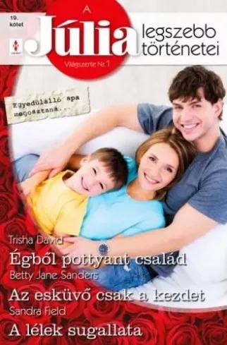 A Júlia legszebb történetei 19. (e-könyv)