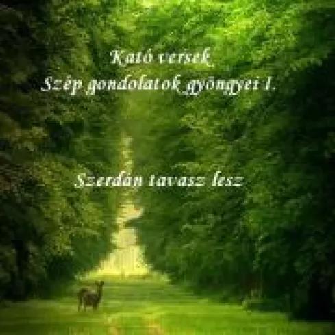 Kató versek - Szép gondolatok gyöngyei I. (e-könyv)