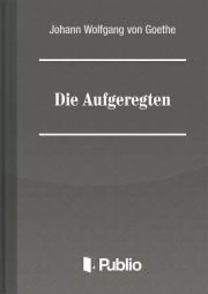 Die Aufgeregten (e-könyv)