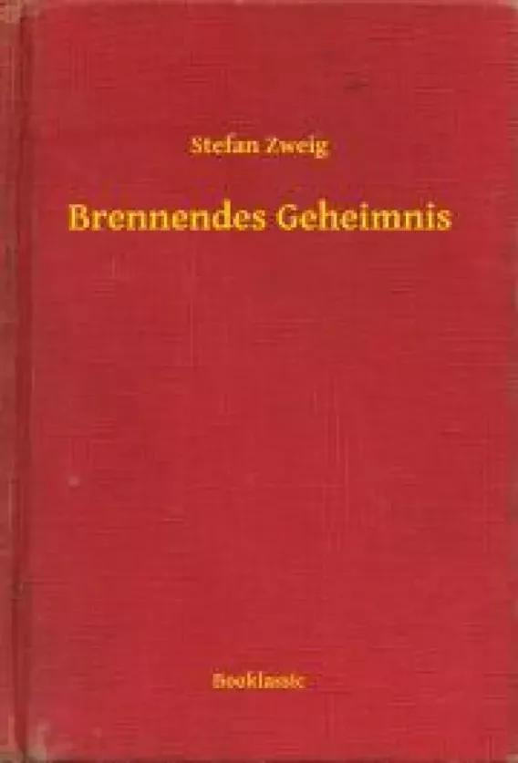 Brennendes Geheimnis (e-könyv)