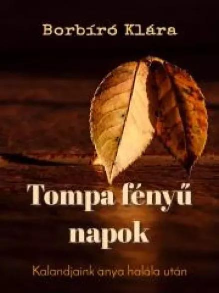 Tompa fényű napok (e-könyv)