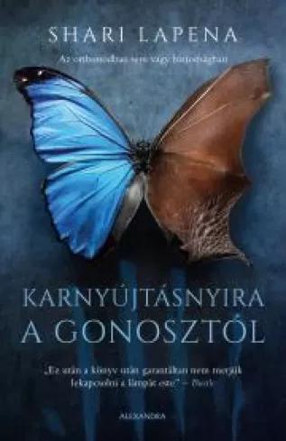 Karnyújtásnyira a gonosztól (e-könyv)