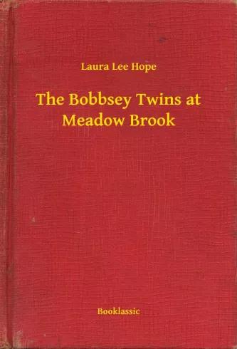 The Bobbsey Twins at Meadow Brook (e-könyv)