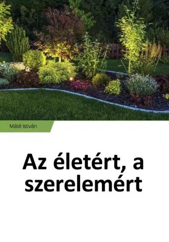 Az életért, a szerelemért (e-könyv)