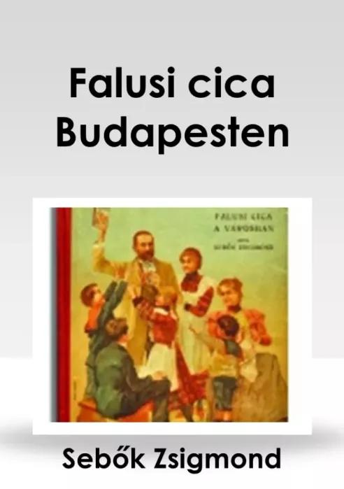 Falusi cica Budapesten (e-könyv)