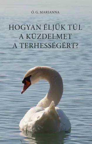 Hogyan éljük túl a küzdelmet a terhességért? (e-könyv)